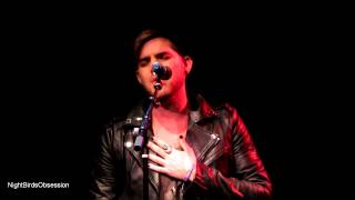 ADAM LAMBERT "Outlaws of Love" AT&T Live Proud Finale NYC 10.13.2014