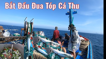 Vào Mua Cá Thu Nên Bắt Đầu Đua Tóp Nha ll Lưới Rút Ngày Phú Yên Tập 12 - Trai Biển Xứ Nẫu