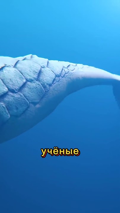 Блуп - YouTube