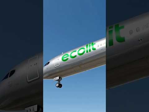ECOLIT В ДOМИНИКАНЕ
