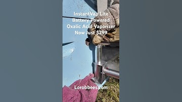 Effective Varroa Mite Treatment for Honey Bee Health