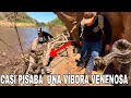 Una Víbora Cascabel En El Rio Esto Se Puso Peligroso