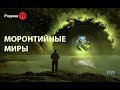 МОРОНТИЙНЫЕ МИРЫ || запись прямого эфира