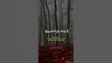 إلا عبادك منهم المخلصين❤️ #سورة_الحجر #هزاع_البلوشي #صوت_جميل #تلاوة_خاشعة #قرآن_كريم #الجزائر #دعم