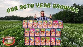 The 20 Step Process to Produce the Best Organic Seed Potatoes