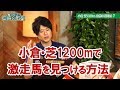 60万馬券も夢じゃない!? 小倉芝1200mで使える血統法則/亀谷敬正