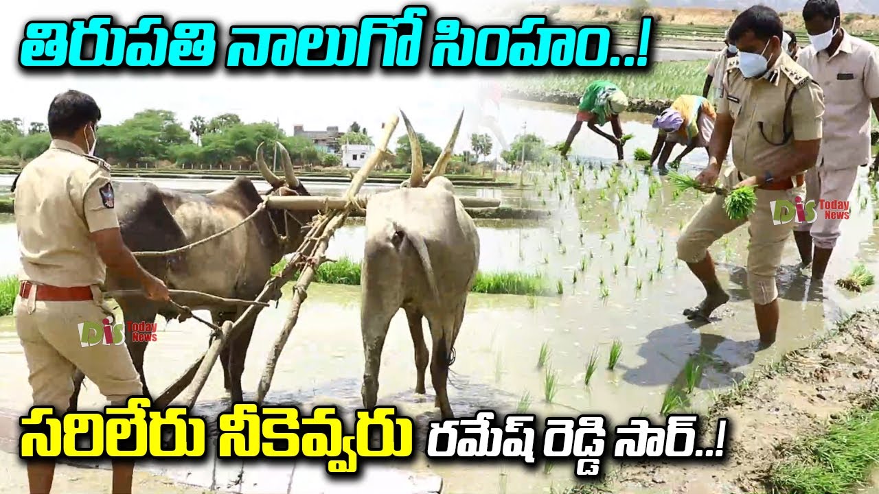 Sp Ramesh Reddy Greatness Tirupati Sp Ramesh Reddy Greatness Revealed Again Distoday News Youtube