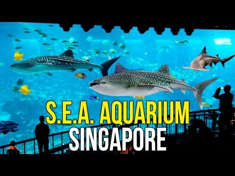 Океанариум в Сингапуре - Сентоза в Сингапуре, Океанариум S.E.A. Aquarium ☼
