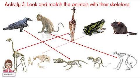 SUPER MINDS YEAR 2 pg 102 UNIT 8: THE ROBOT (READING)