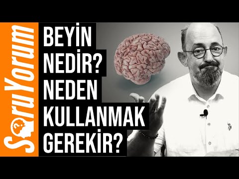 SoruYorum - Beyin Nedir? Neden Kullanmamız Gerekir?