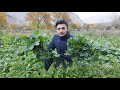 We Cooked Our Fields Vegetables Called || Shuwanchal Recipe || #SecretsOfGilgit