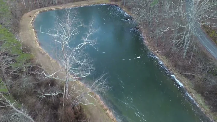 The Hidden Gem of Green Ridge State Forest: White Sulphur Pond from Above #maryland 