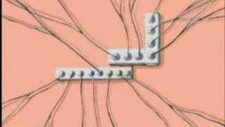 Youtube Poop - All Toasters Toast The Princess