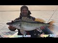 Весенняя Щука и Судак🤫Черкасы, Сокирно!!! Судак 4.900, Щука 5кг 👍🎣природа 💥