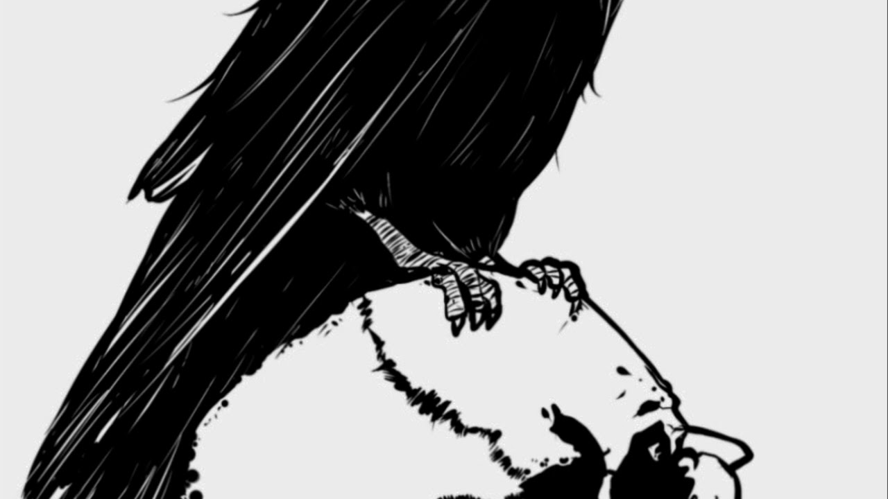 Tito Dash “Crows & Nightowl$”