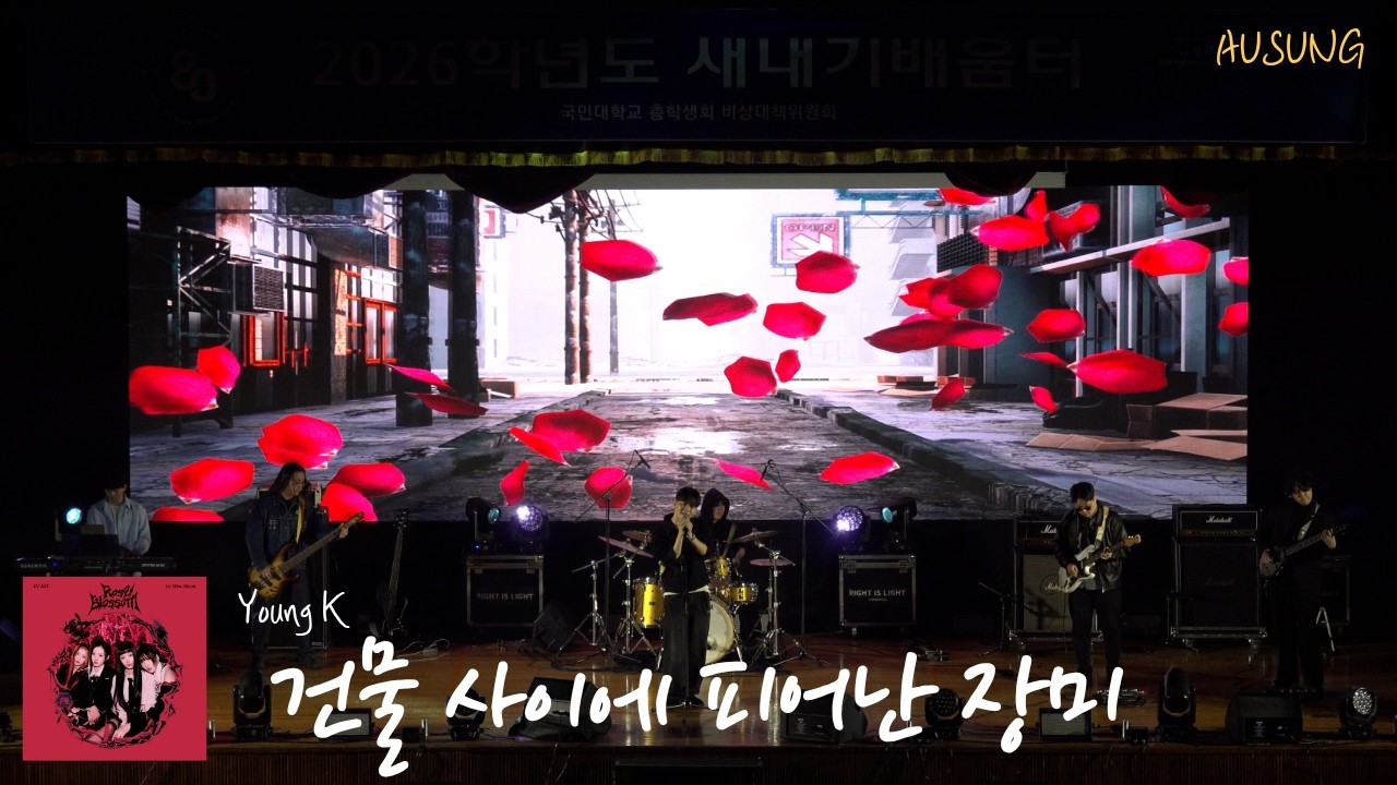 [2026 새내기 배움터] 건물 사이에 피어난 장미-Young K