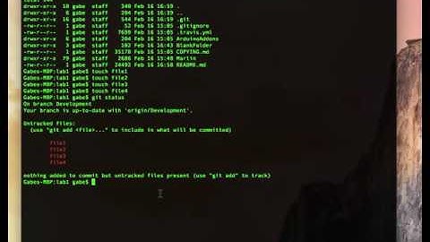 GiT Lab 12: Remove local (untracked) files from my current GiT branch