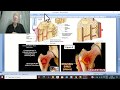 Orthopedic in Arabic 45 ( Acute osteomyelitis , part 1 ) , by Dr.Wahdan