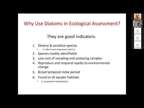 2020 03 17   Diatom Web Academy 2   Diatom data in ecological assessment