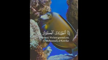 Surah Al-Kawthar |Abdul_Rahman_Mossad | سورة الكوثر | عبدالرحمن مسعد