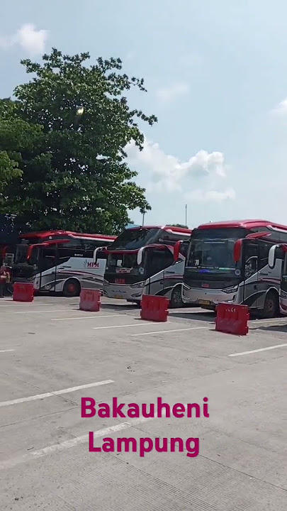 BUS MPM BERBARIS RAPIH  #shots #mudik #lebaran #antrian