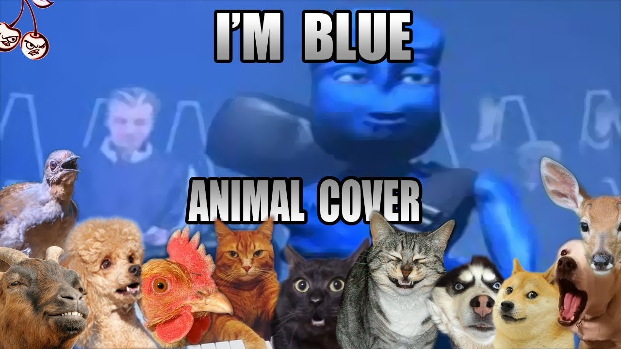 Eiffel - I&#39;m Blue (Animal Cover)