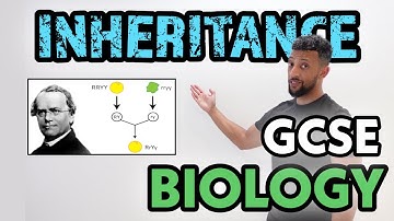 GCSE Biology - Inheritance