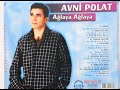 Avni Polat - Dilan (Official Audio)