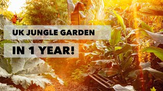 1 Year Tropical Jungle Garden Transformation