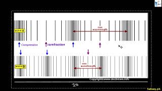 Time Period And Frequency of Sound Waves, General Science Lecture | Sabaq.pk