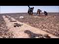 لغز الرسومات الجديدة في صحراء الجزائر رسومات صحراء الجزائر