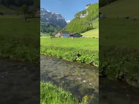 What we see depends mainly on what we look for. Heaven on earth 🌎 #nature2o21 #switzerland