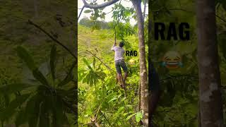 RAG #shorts #dog #youtubeshorts #youtube #lucu #huntingwild #berburu #doglover #babi