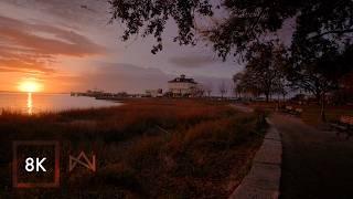 Relaxing Walk in Charleston South Carolina | Nature Sounds at Waterfront Park 8K HDR