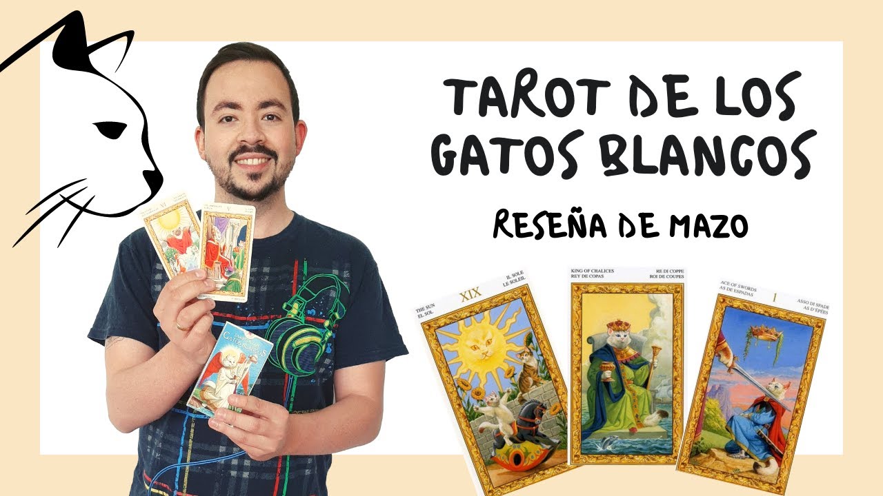 TAROT DE LOS GATOS BLANCOS - REVIEW / RESEÑA DE MAZO - YouTube