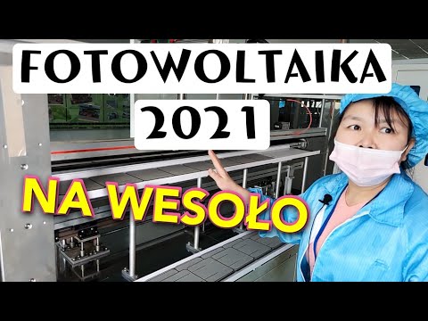 Wideo: Różnorodność I Zastosowanie Roślin Leczniczych Do Produkcji Zup W Tradycyjnych Dietach Hakki W Zachodnim Fujian W Chinach