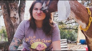 What I Teach My Kids About Raising Meat | VLOG | Roots and Refuge Farm