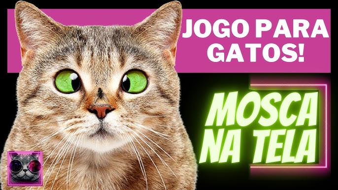 Adeus à bolinha: gatos já jogam no smartphone, mas isso é bom para