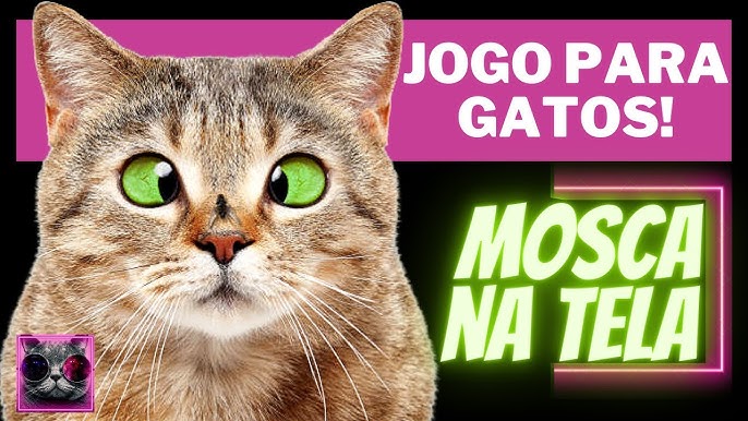 JOGO Para Gatos - A Mosca 