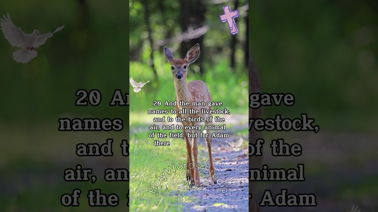 Adam Names Every Creature  | Genesis 