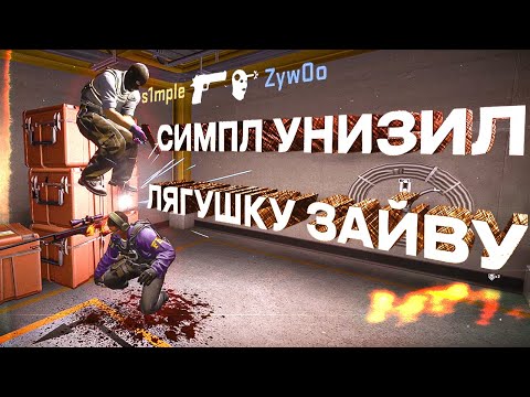 Видео: СИМПЛ РОФЛИТ НАД ZYWOO! Бедный лягушонок ((