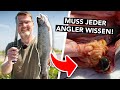 Wir nehmen eine Forelle aus und zeigen euch die Organe! 🔪