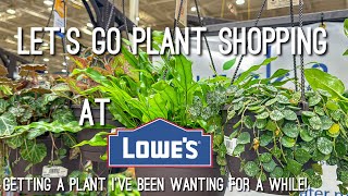 I finally took the plant! Plant Shopping at Lowes!
