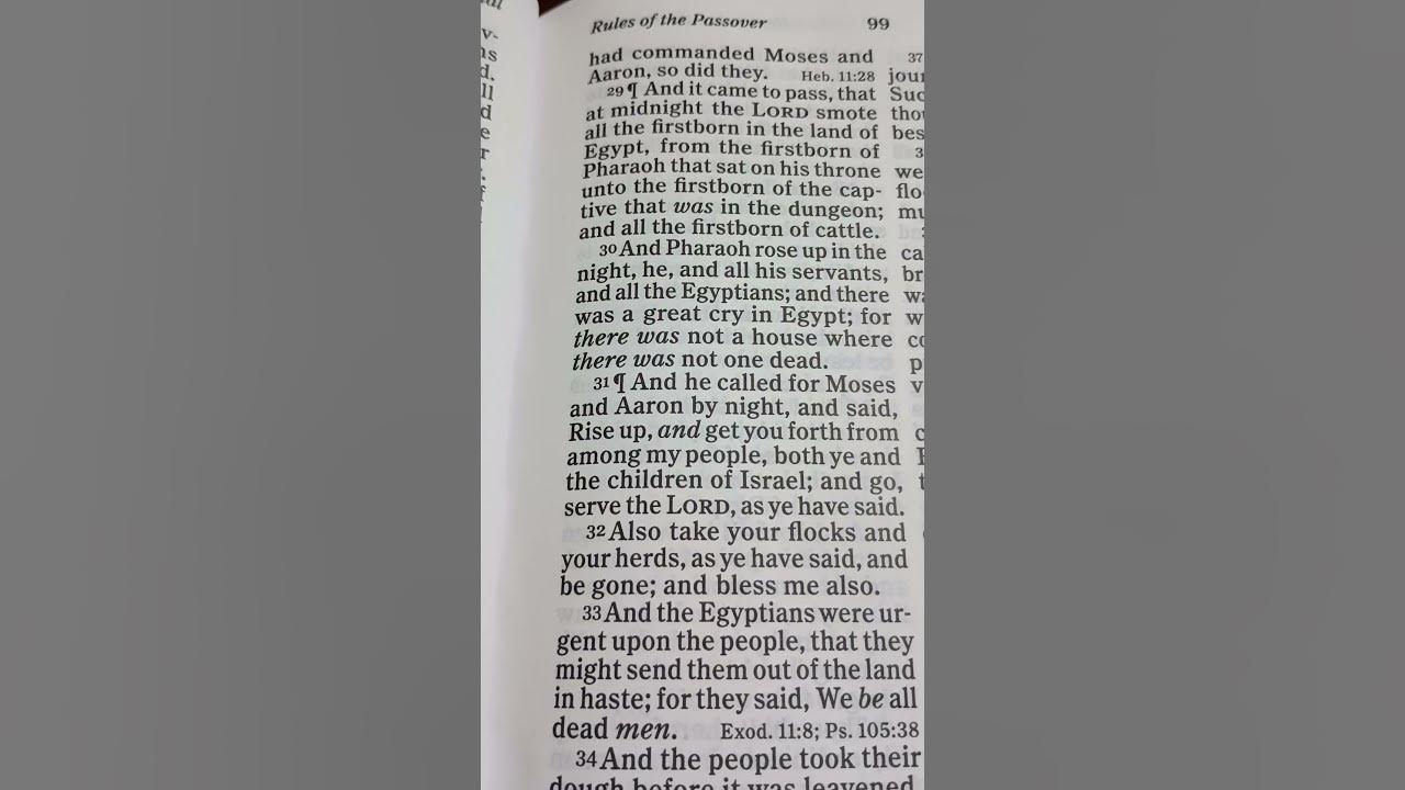 bible-reading-exodus-chapter-12-verse-31-youtube