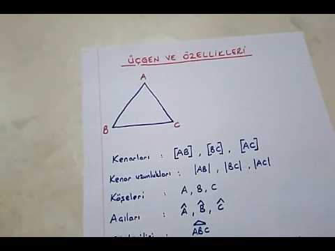 4.sınıf matematik üçgen, kare ve dikdörtgenin özellikleri @Bulbulogretmen #matematik #4sınıf