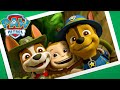 Szczenięta na wakacjach! - Psi Patrol PAW Patrol po polsku - Pup Tales