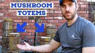 Growing Mushrooms on Log Totems - Growing Mushrooms at Home screenshot 5