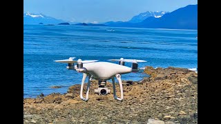 Drone footage of killer whale passing by house on a beautiful summer day.