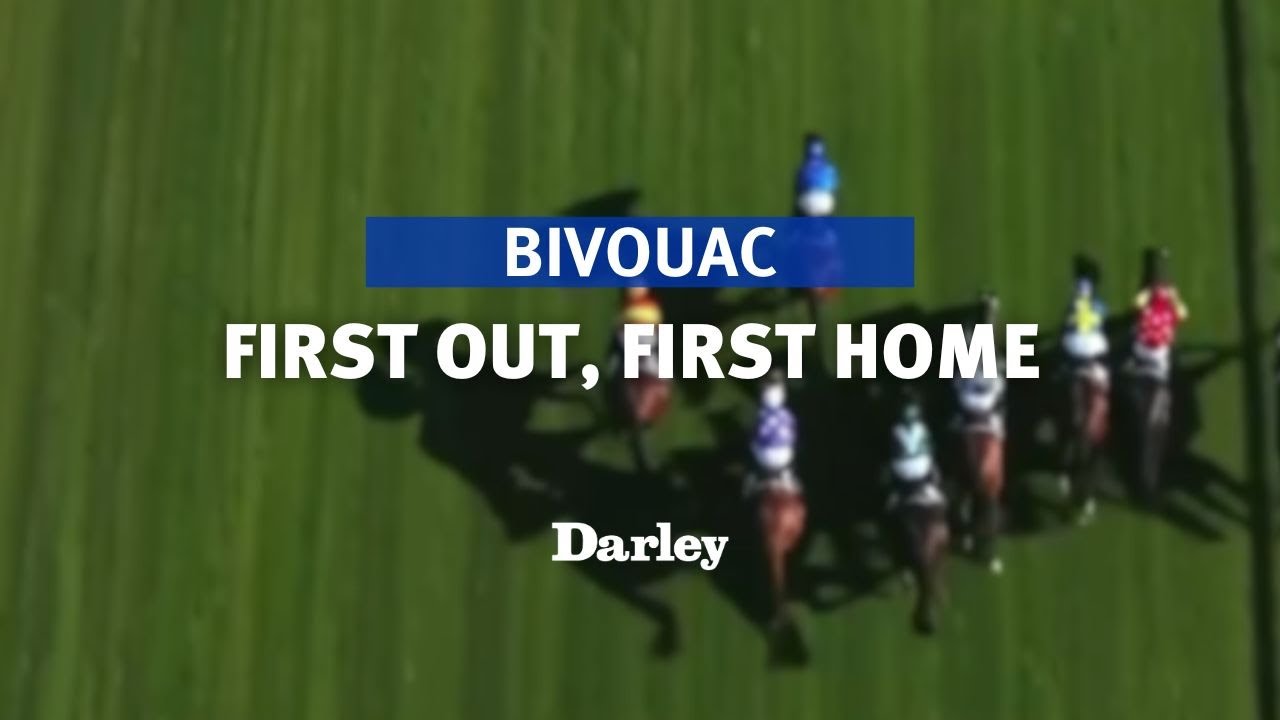 First out, first home | Bivouac's barrier speed set him apart - YouTube