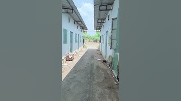 🔰 BÁN 2 DÃY NHÀ TRỌ GẤP 🔰Giá Tốt :1 TỶ 750 Triệu ,ACE Ơi- Diện Tích: 10 × 56 ONT 100 🏡0979.291.044